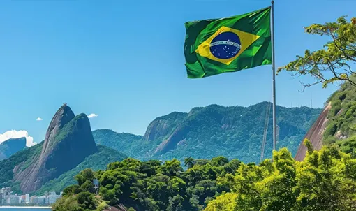 brazylia oferta Obserwacja w agencji detektywistycznej Operacyjni